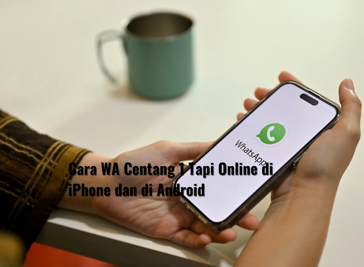 Cara WA Centang 1 Tapi Online di iPhone dan di Android