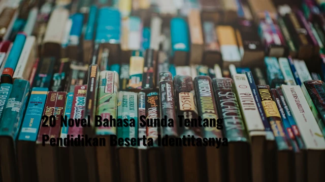 20 Novel Bahasa Sunda Tentang Pendidikan Beserta Identitasnya