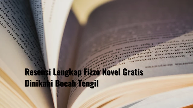 Resensi Lengkap Fizzo Novel Gratis Dinikahi Bocah Tengil