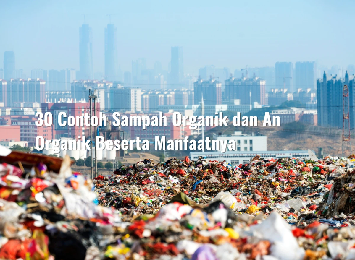 30 Contoh Sampah Organik dan An Organik Beserta Manfaatnya