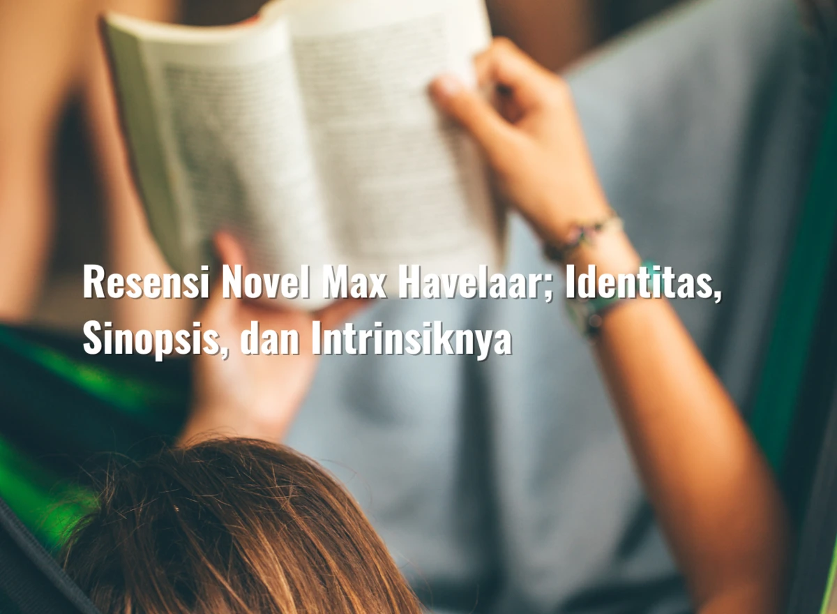 Resensi Novel Max Havelaar; Identitas, Sinopsis, dan Intrinsiknya