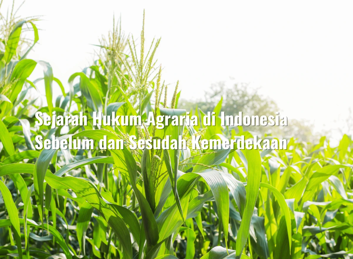 Sejarah Hukum Agraria di Indonesia Sebelum dan Sesudah Kemerdekaan
